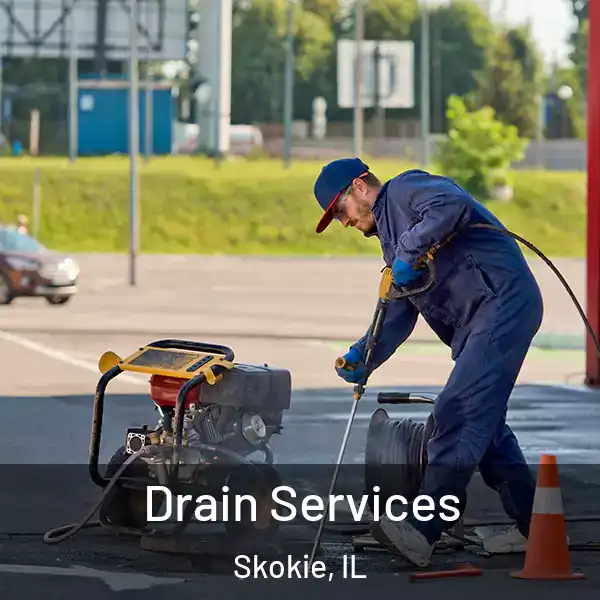  Drain Services Skokie, IL