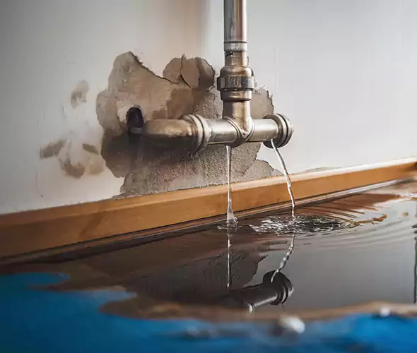 Professional Water Damage Restoration Experts in Skokie, IL — Fast, Reliable & Certified