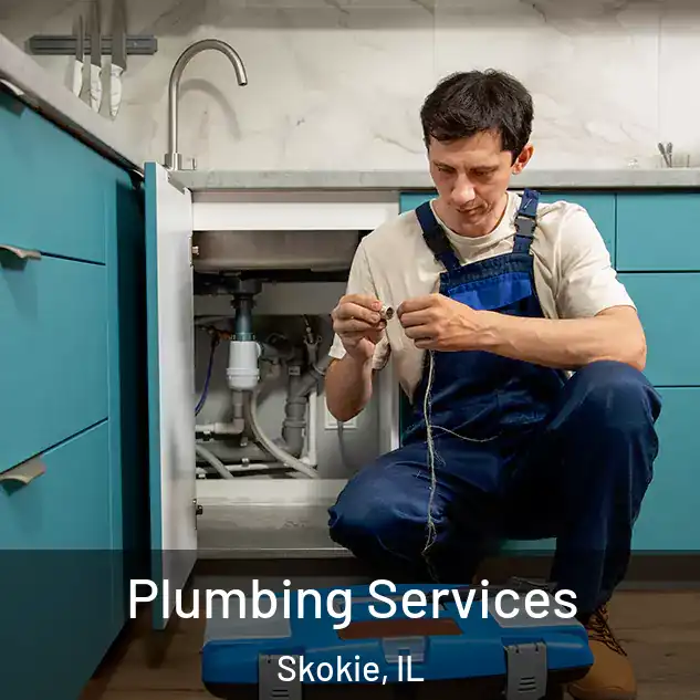 Plumbing Services Skokie, IL