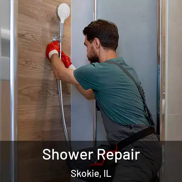  Shower Repair Skokie, IL