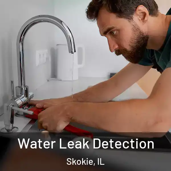  Water Leak Detection Skokie, IL